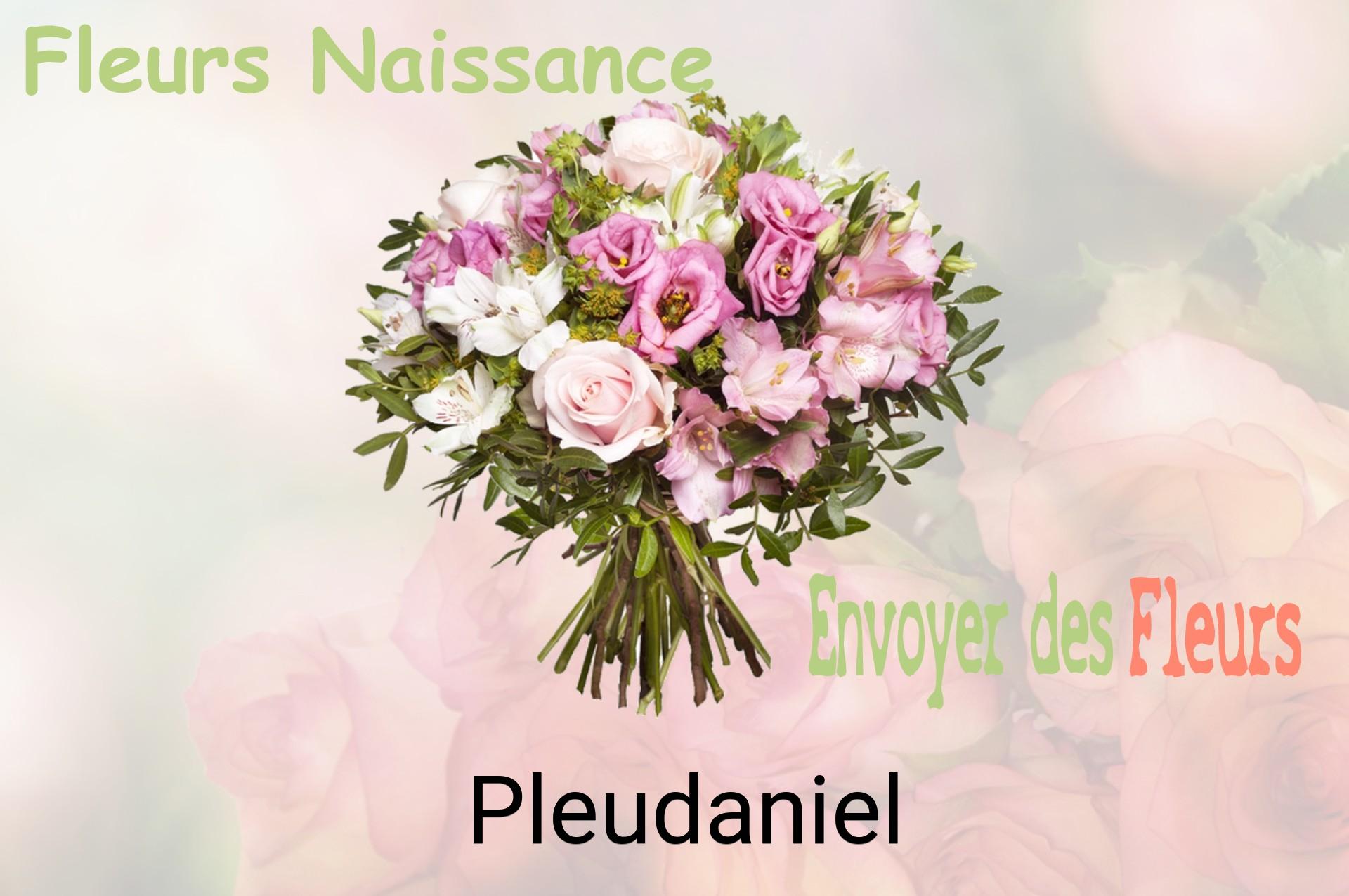 Bouquet de fleurs de naissance livré à Pleudaniel